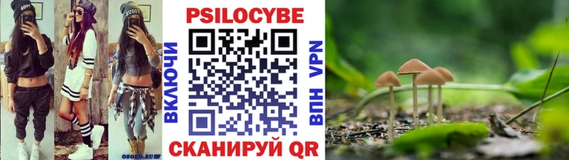 Галлюциногенные грибы MAGIC MUSHROOMS Камешково