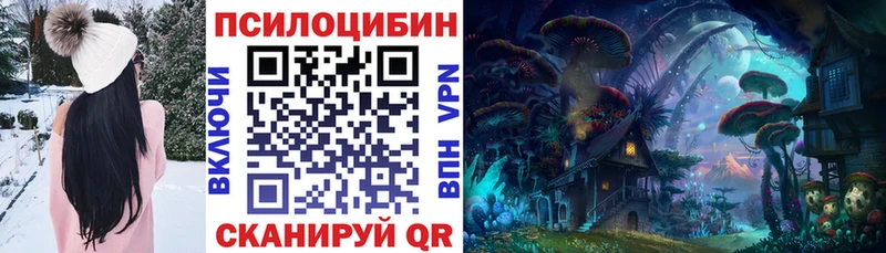 Купить закладки  Камешково  Галлюциногенные грибы Magic Shrooms 