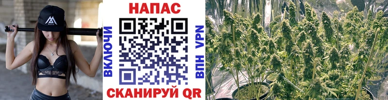 Конопля AK-47  Купить закладки  Камешково 